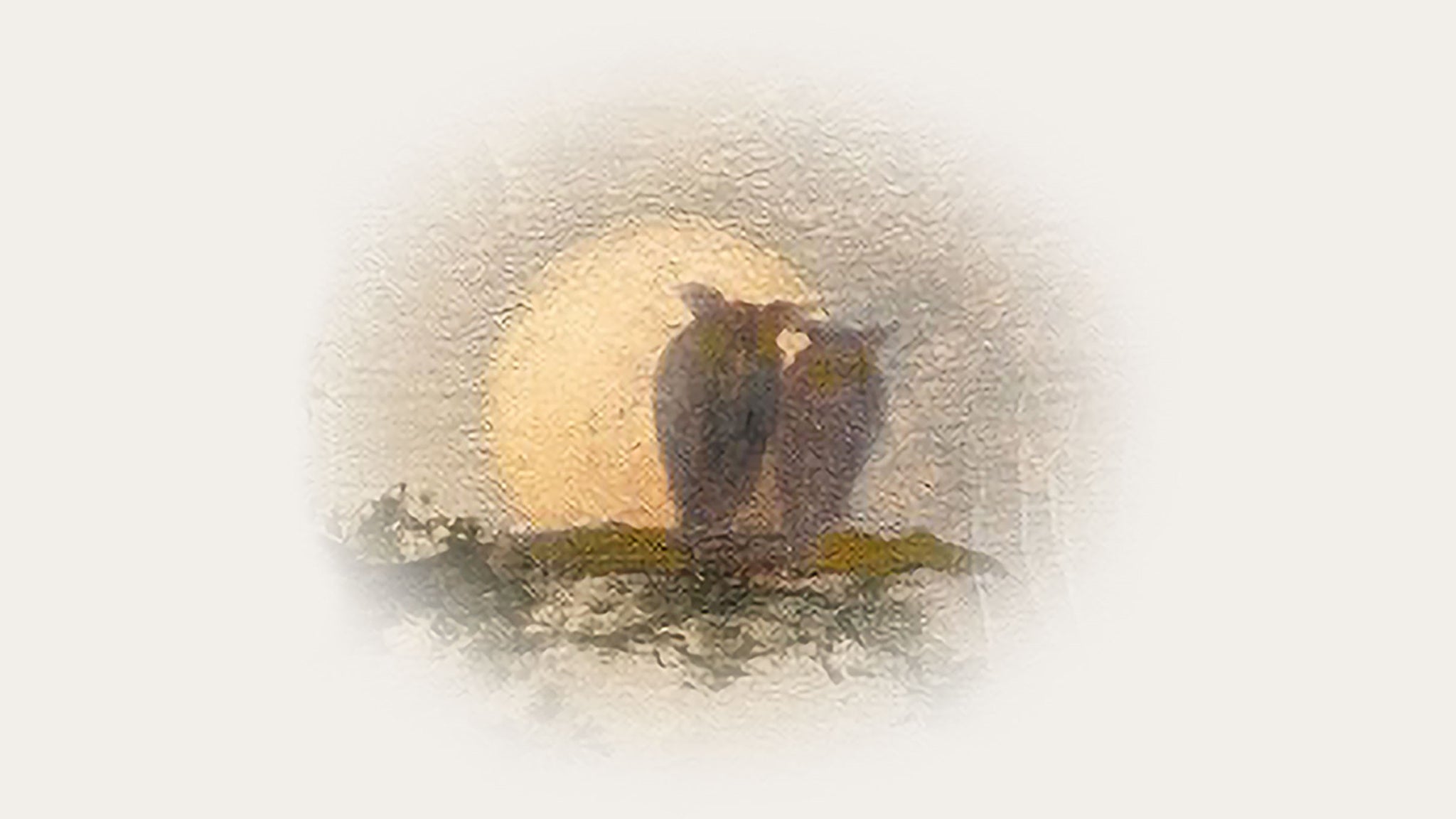 Paul Simon – A Quiet Celebration Tour splash image